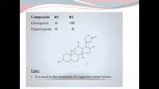 Scrophulariaceae
