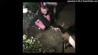 LIL PEEP - not okay [AI] (prod.unseenscars)