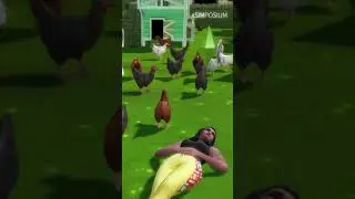 All the Chickens #Shorts