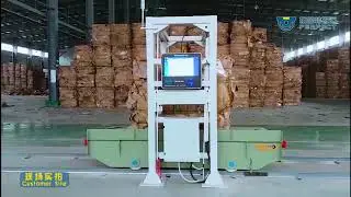Rail guided transfer cart RGV