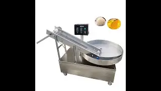 Automatic bread crumbs coating machine