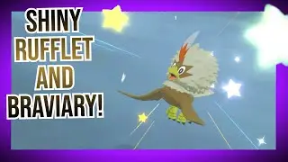 Shiny Rufflet and Hisuian Braviary! - Pokemon Legends: Arceus