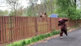 The Fast And The Furryest