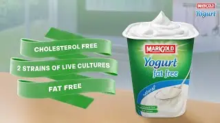 Elevate Recipes with MARIGOLD Yogurt