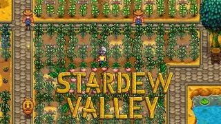 Öntöző rendszer kiépítés | Stardew Valley #10