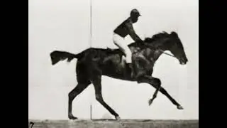 The Horse in Motion by Eadweard Muybridge (1878)| Sallie Gardner at a Gallop| Precinema| Before Film