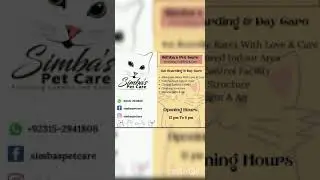 Review on simba's pet care 😸