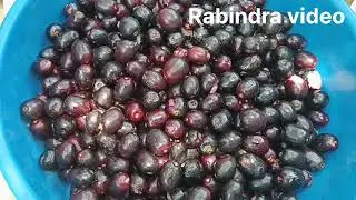 #youtubevideo #jamun in our tree #javaplum #blackplum #healthylifestyle #tasty #bhawanipatna