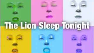 ライオンは寝ている The Lion Sleep Tonight ／Coverd by PESMI