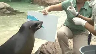 The Bronx Zoo's very own 