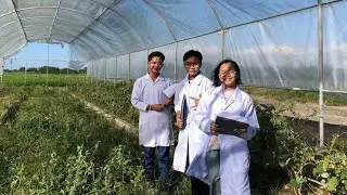 THE PROBLEM FACING THE PHILIPPINE FARMING AND AGRICULTURE