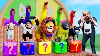 Long Slide Game With Cow Elephant Gorilla Hippopotamus Giant Pirate 3D Animal Game Funny 3D Animals