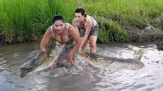 Beautiful Girl Fishing​ | Amazing Fish at Vietnam | How to Catch fish
