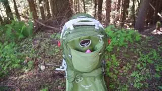 Osprey Packs - Poco AG Plus Child Carrier