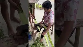 Sisal rope making process- Good tools and machinery can increase work efficiency