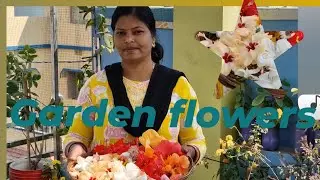 28 Jan Flower from organic Gardening | Chhat ke upar flower garden | Chhat ke upar phool kaise kare