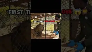 IShowSpeed Meets a LION for the First Time 😳🦁 (Kenya Shocked Me