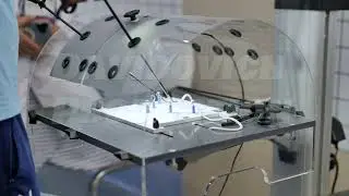 Medical students practicing laparoscopic surgery simulation for professional development