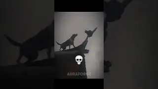 Last Cat Can Teleport 🐱 | Cats can't be ninja