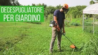 DECESPUGLIATORE italiano sotto i 200€