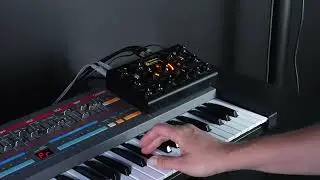 Erica Synths x 112db NIGHTVERB sound demo