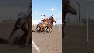 #nsca #omoksee #horse #rodeo #horseshow #western #westernriding #aqha #youtubeshorts #subscribe