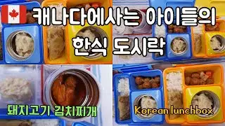 🇨🇦 아침은 꼭 밥을먹는 캐나다에서 태어난 아이들의 도시락/서두르지말고 천천히 준비해요 [김치찌개,미트볼,떡갈비스프링롤,매쉬드포테이토]