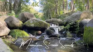 Mountain Stream Sounds in 4K | Real Nature Audio for Sleep, Focus & Relaxation (No Music)