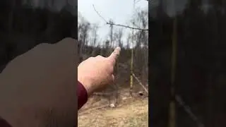 Антенная схема ZS6BKW