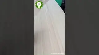 Recon white/poplar veneer  1280x2500x0.5/0.6/0.7mm  Ocean building material  sales@oceanplywood.com