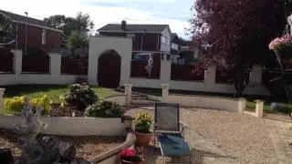 Honey Bee swarm in our garden North Wales Northop Hall
