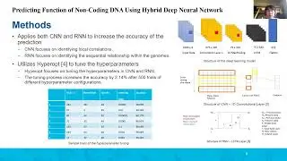 Predicting function of non-coding DNA Using a Hybrid Deep Neural Network