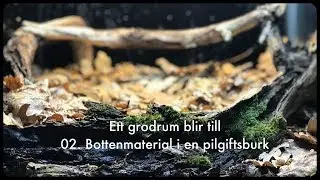 Ett grodrum blir till   02 Bottenmaterial i en pilgiftsburk