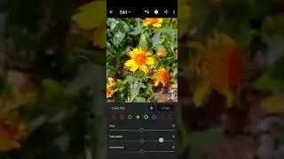 Best flower editing tutorial 🌺 #short #hdpicedit #lightroomediting #youtubeshort best mobile editing