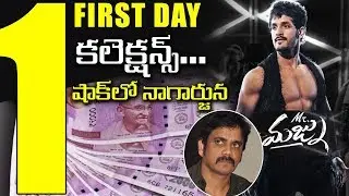 Mr Majnu Movie First Day Worldwide Box Office Collections | Mr Majnu Movie Collections | #MrMajnu