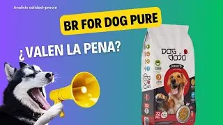 Dog Food Review: DOG DOJO