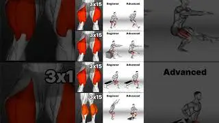 Leg Workouts for ALL Levels: Beginner to Advanced Training!