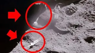 The Falcon Feather and Hammer Dropped on the Moon