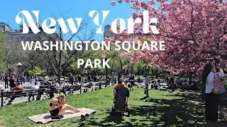 Explore The Stunning Spring Vibes Of Washington Square Park In 4k Uhd | New York City Adventures