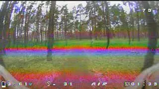 09.11.2021 2 дюйма, Заповедник, парковка. Коптер DIATONE r239, F3 OSD,  vtx 400mw, FrSky