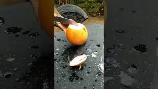 Satisfying king coconut cutting 😊 Amazing king coconut cutting skills #short #king coconut #viral