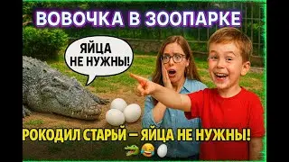 Вовочка в зоопарке: 