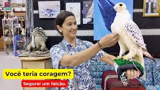 Souq Waqif: cara a cara com um falcão