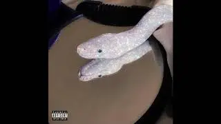 Kasper The Kidd & Hosta! - CeeLo Green (prod. Alive Russian)