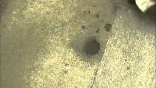 Retirada total de mancha de caf&eacute;.wmv