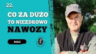 Dawkowanie nawozów, czyli co za dużo to niezdrowo.