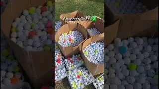Golf ball collection check!