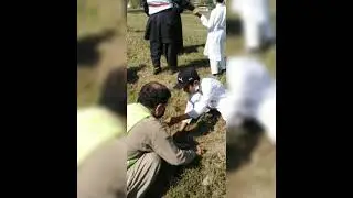 #Tigers #force #dil #dil #Pakistan #plantation #Bari #immam
