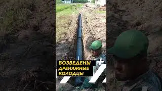 Green and Go (Проект 3)