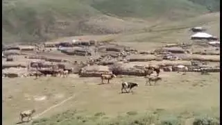 bingöl sudüğünü köyü şirnan yaylası 1